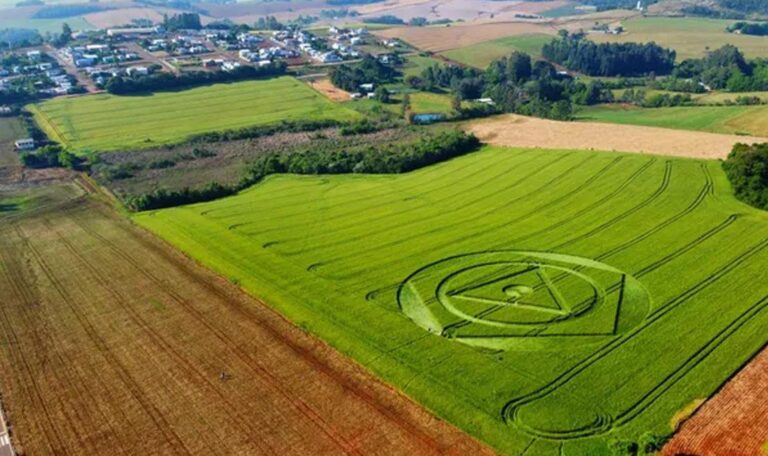 aliens?-agroglifo-misterioso-aparece-em-plantacao-em-santa-catarina