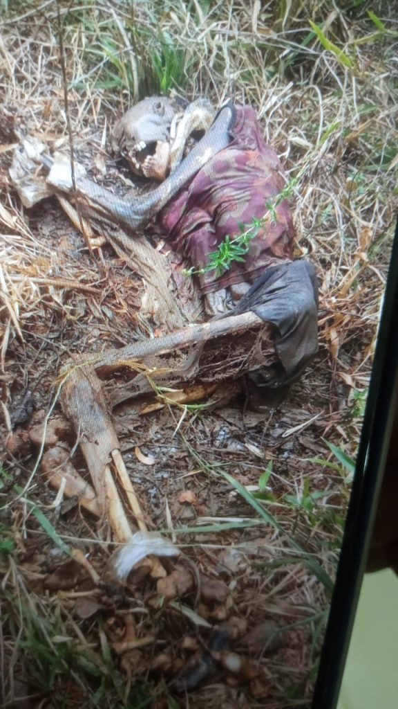 CORPO DO SEXO FEMININO NÃO IDENTIFICADO E ENCONTRADO EM ESTADO AVANÇADO DE DECOMPOSIÇÃO