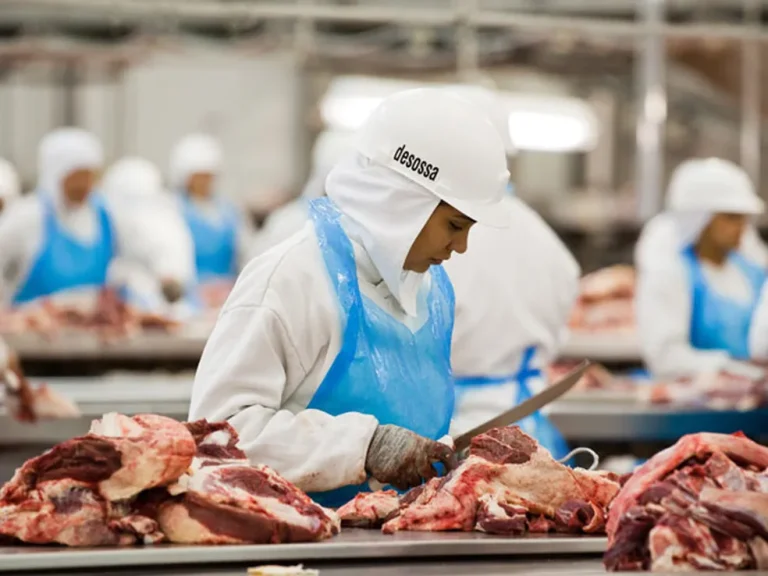 Rondônia recebe autorização para exportar carne bovina para o Canadá