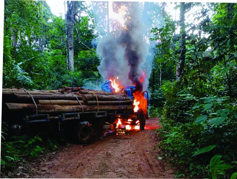 Operação apreende caminhões, máquinas e motores de madeireiros garimpeiros em reservas indígenas de RO