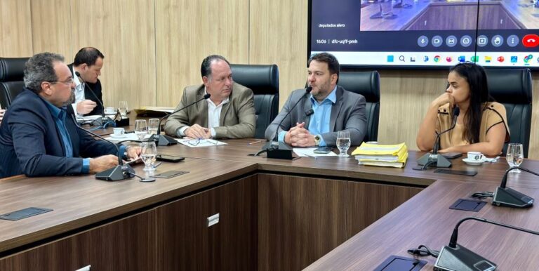 Deputados atualizam andamento dos trabalhos durante CPI das Reservas Ambientais