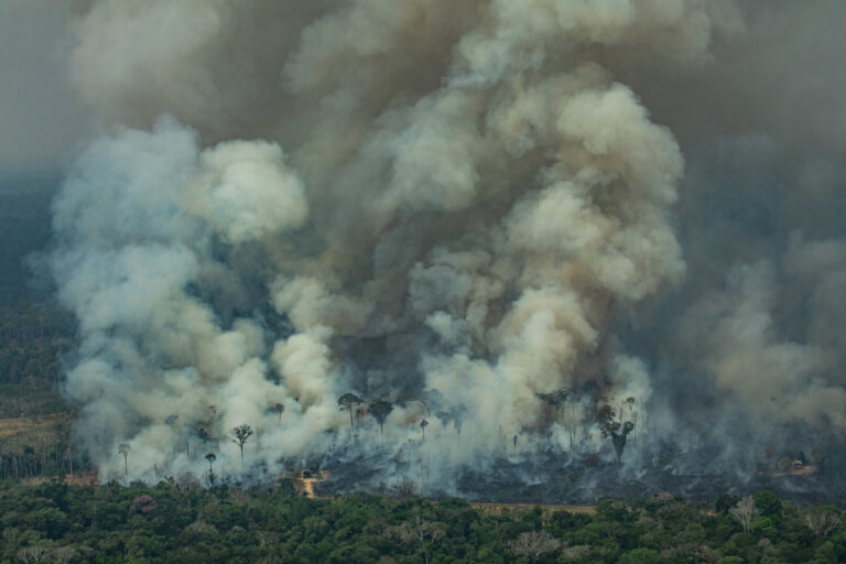 Estação Ecológica Soldado da Borracha é consumida por incêndios há mais de dois meses em RO