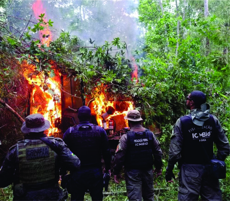 Nove pessoas são presas e R$ 1,4 milhão em multas aplicadas durante operação contra crimes ambientais em RO